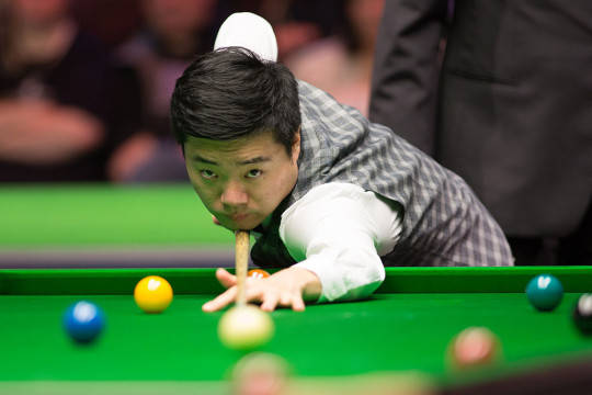 年轻新星的 年轻新星的