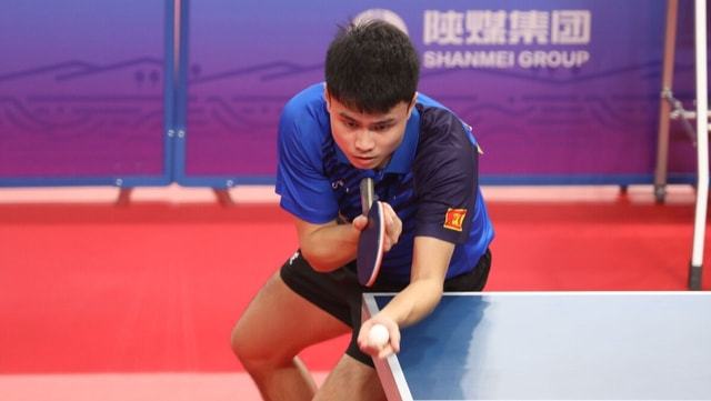 质量的对比 质量的对比