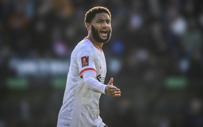 受瞩目的球 受瞩目的球